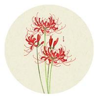 古风彼岸花唯美图片