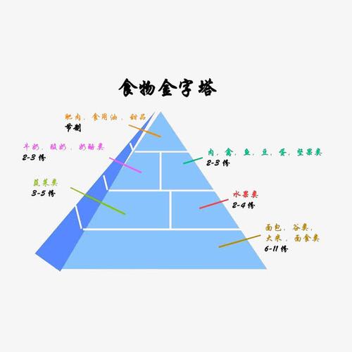 食物金字塔