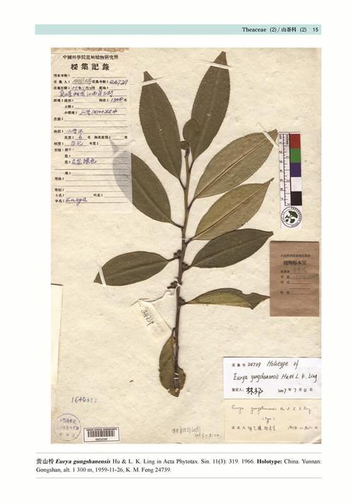 正版书籍 中国国家植物标本馆模式标本集 第12卷 9787534981616 河南