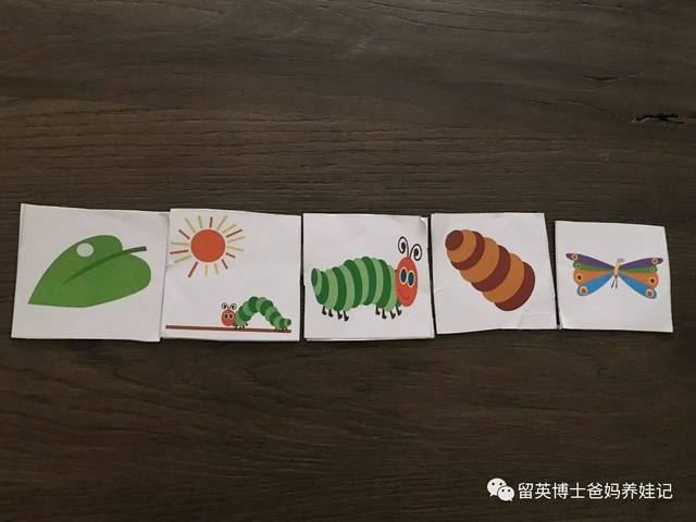 游戏目的: 学习毛毛虫生长过程,了解事件发生的先后顺序 1)找到故事