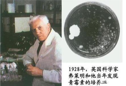 神奇大发现:弗莱明偶然发现的青霉素,却改变了历史进程
