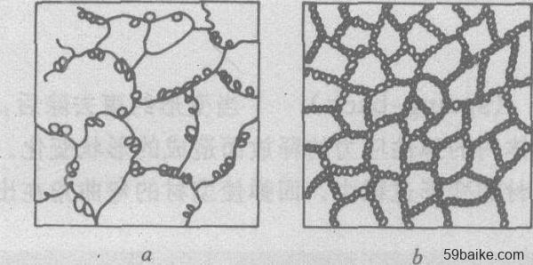 胞状组织的形成示意图