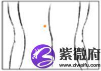 若果乳房与肚脐中间位有痣,代表此人「人见人爱,车见车载」一类,去到