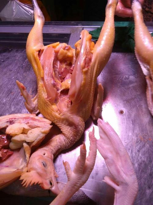 3,没有牙齿,好像也没有气囊…… 制成鸡汤,完成.