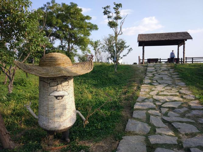 2020美丽乡村横泾东林渡,稻花香里说丰年.