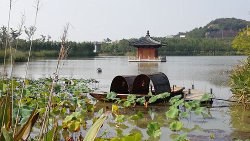 《苏州东山,无锡拈花湾》