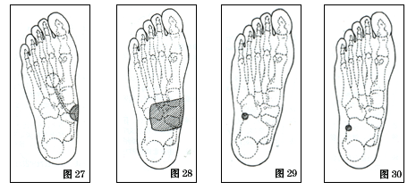 【引用】实用足部反射区和穴位图解(详细)(一,二)(三)