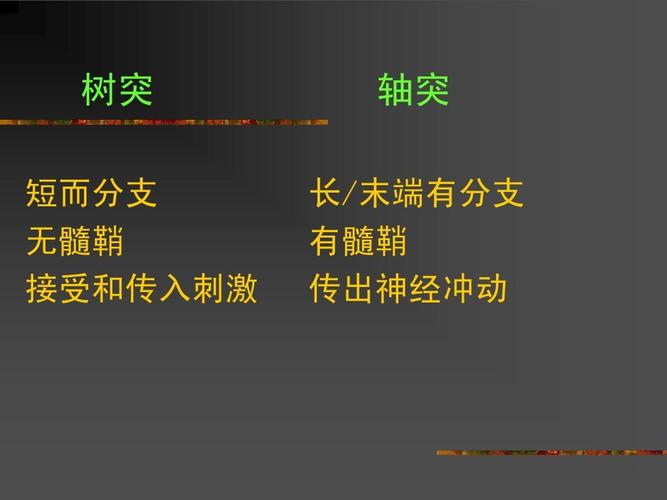树突 短而分支 无髓鞘 接受和传入刺激 轴突 长/末端有分支 有髓鞘 传