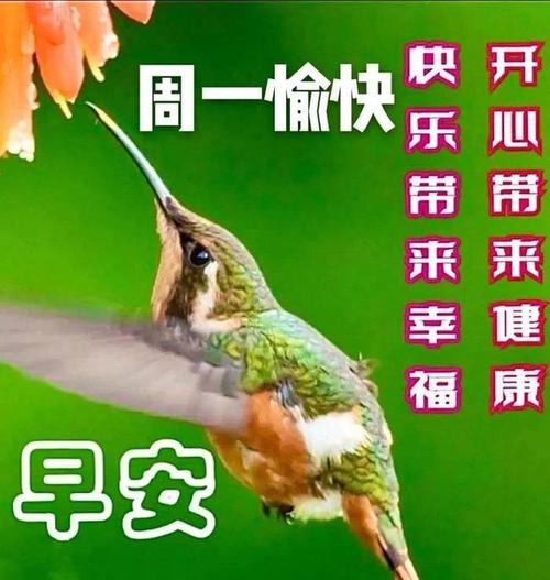 上午好问候祝福动态表情图片周一最新问候语动态图片表情