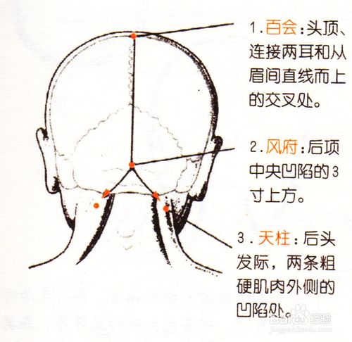 用药膏适量均匀涂抹在百会或天柱,风池,完骨,颔厌,风府等经穴适,仔细