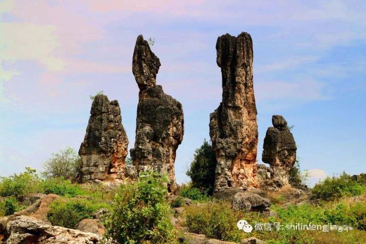 世外莽荒地,乃古黑石林