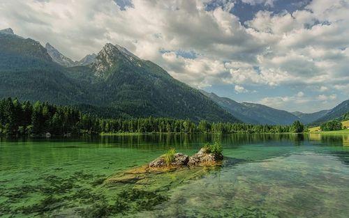 绿色护眼自然风景图片桌面壁纸