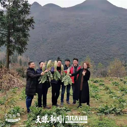 「我的扶贫故事」扎根基层 为民谋幸福丨七星关区杨家湾镇照壁村第一