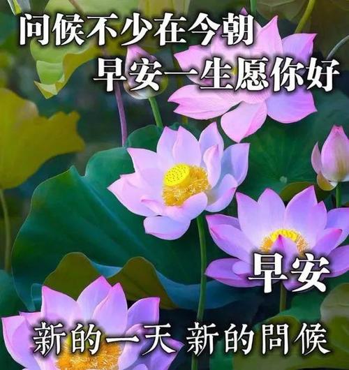 清早发圈的早上好漂亮图片早安动图,早安唯美祝福语