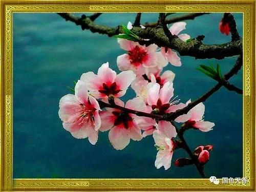 朗诵|三月桃花水