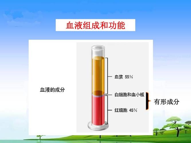 血液组成和功能 有形成分