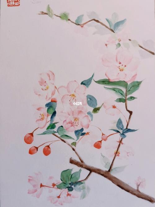 水彩海棠花_海棠花_水彩画_海棠_文化_绘画