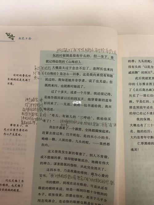 《朝花夕拾》《阿长与<山海经>》批注_夏天去哪