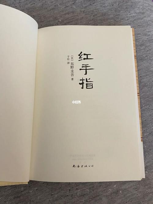 东野圭吾永远的神 《红手指》_东野圭吾_小说_教育_东野圭吾的书_文化