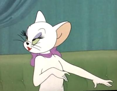 猫和老鼠里tom追过的白猫.
