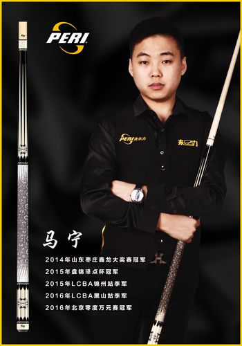 马宁-来力台球桌官网|台球桌价格|桌球台品牌|台球桌多少钱|中国台球