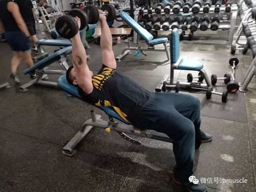 哑铃对握卧推