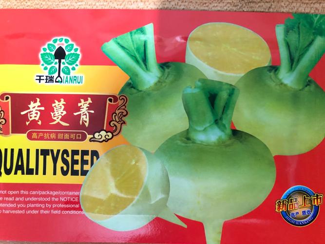 黄瓢圆蔓菁芜菁东北卜留克种子布留克籽恰玛古圆盘菜土苤蓝蔬菜孑