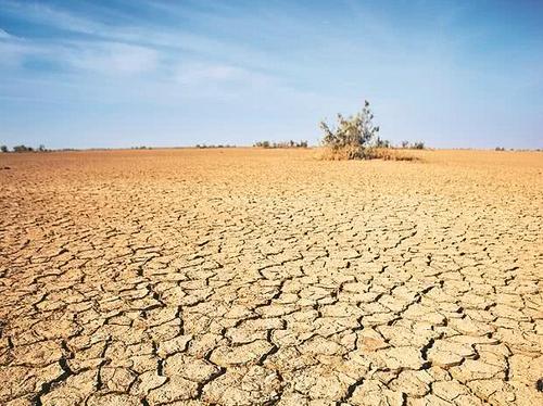 二氧化碳捕捉热量,增加温室效应.