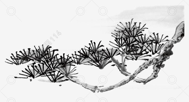 水墨国画松枝松树