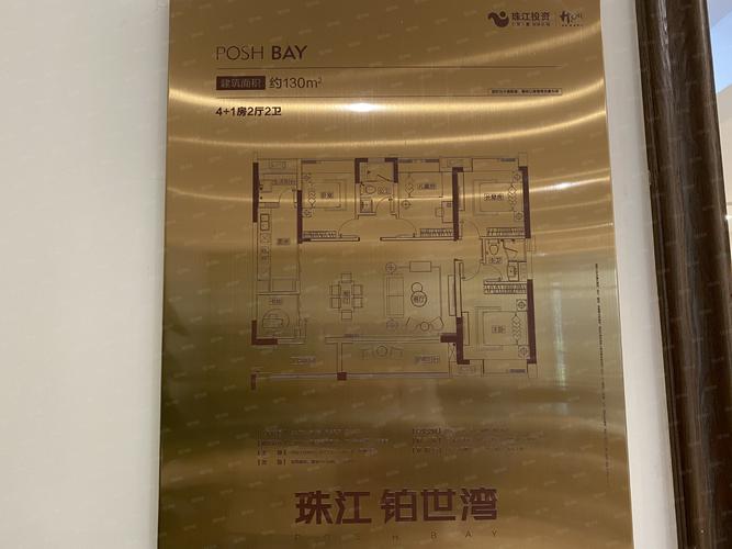 珠江铂世湾 全线望江(员工内转房特笋价528万)随时可看