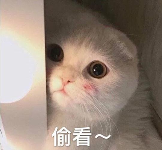 表情包精选你说吧我有在听