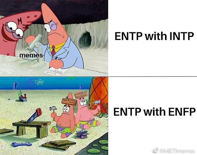 长期更新mbti的meme梗图