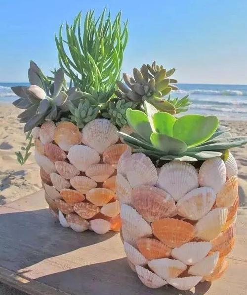 养花都得学的旧物改造方法, 垃圾瓶子变花盆