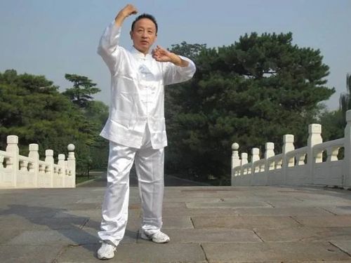 意拳宗师王芗斋 站桩与试力