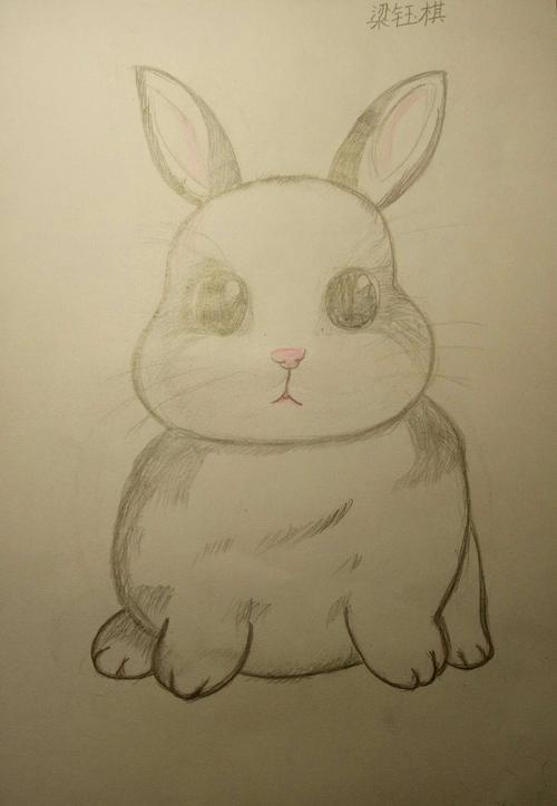 小白兔《卡通素描》