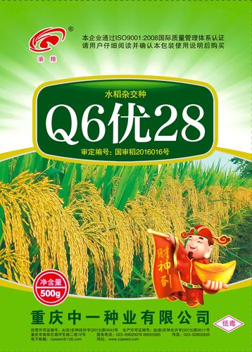 大稻之行,必有其名——超级大稻q6优28