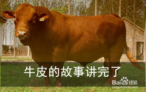 牛皮不是"吹"的