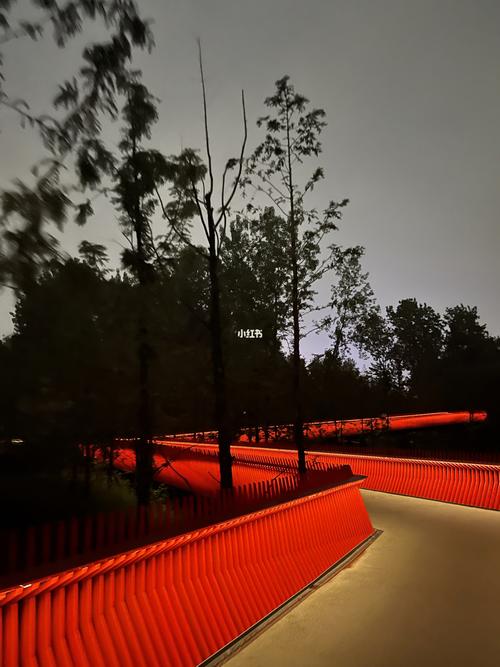 嘉兴网红桥夜景91_相机_景点_夜景_西南湖生态公园攻略_嘉兴网红桥