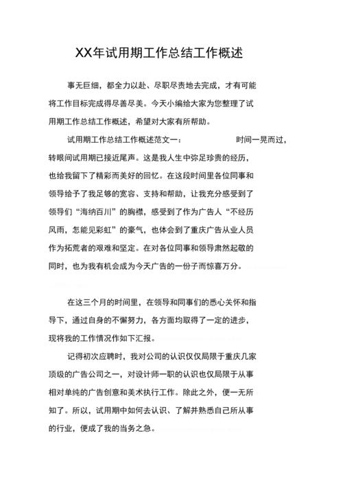 试用期工作总结工作概述.docx 10页