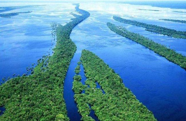 大河|河流|尼罗河|亚马孙河_网易订阅