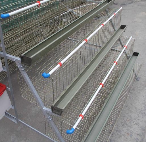供应鸡笼子 蛋鸡笼 养殖设备 养鸡设备