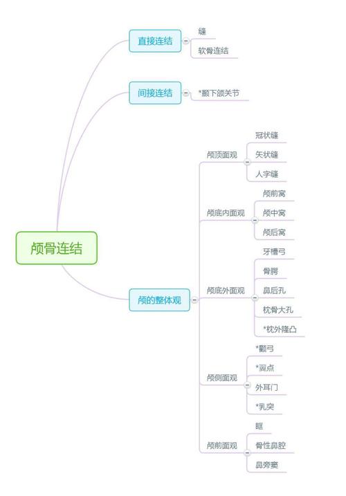 思维导图解剖学这样记忆更高效