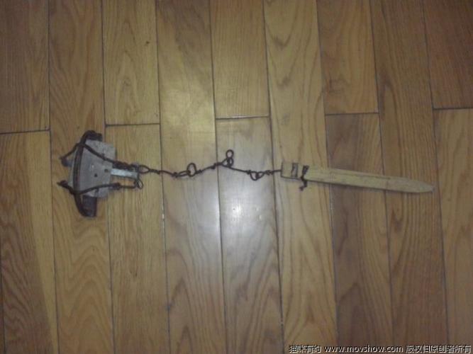 猫友请留意,猫贩子逮猫换工具了!(夹子照片已经上传)