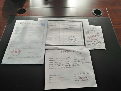 苗木调运:三证一签