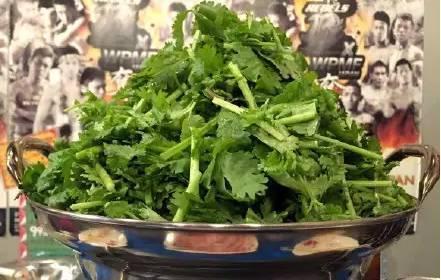 香菜火锅日本
