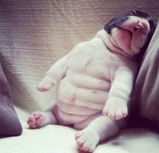 召唤腹肌马甲线表情包.