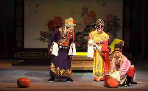 狸猫换太子的故事(狸猫换太子的历史真相)