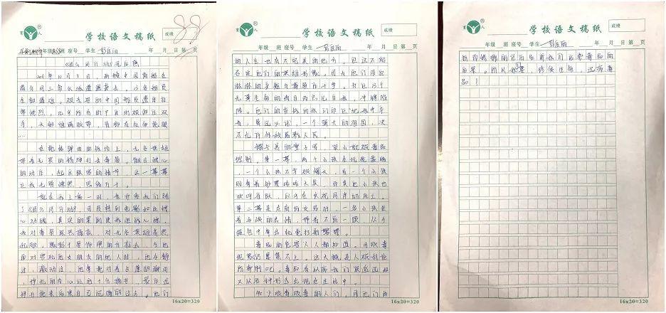 禁毒教育漳州一职校组织开展珍爱生命远离毒品主题征文比赛
