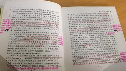 年级上册(黎惠娴)小习惯成就大未来——名著阅读指导课之如何做阅批注