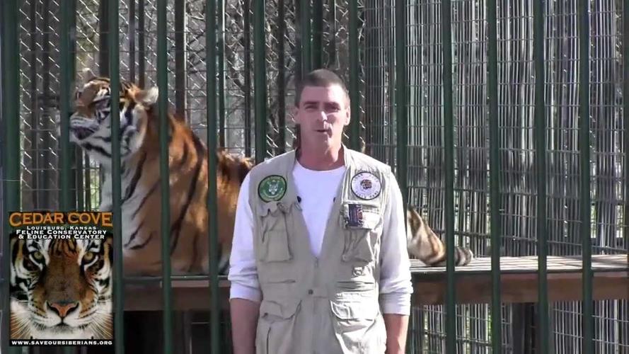 episode : the cove : part   ariel gets   little rambunctious